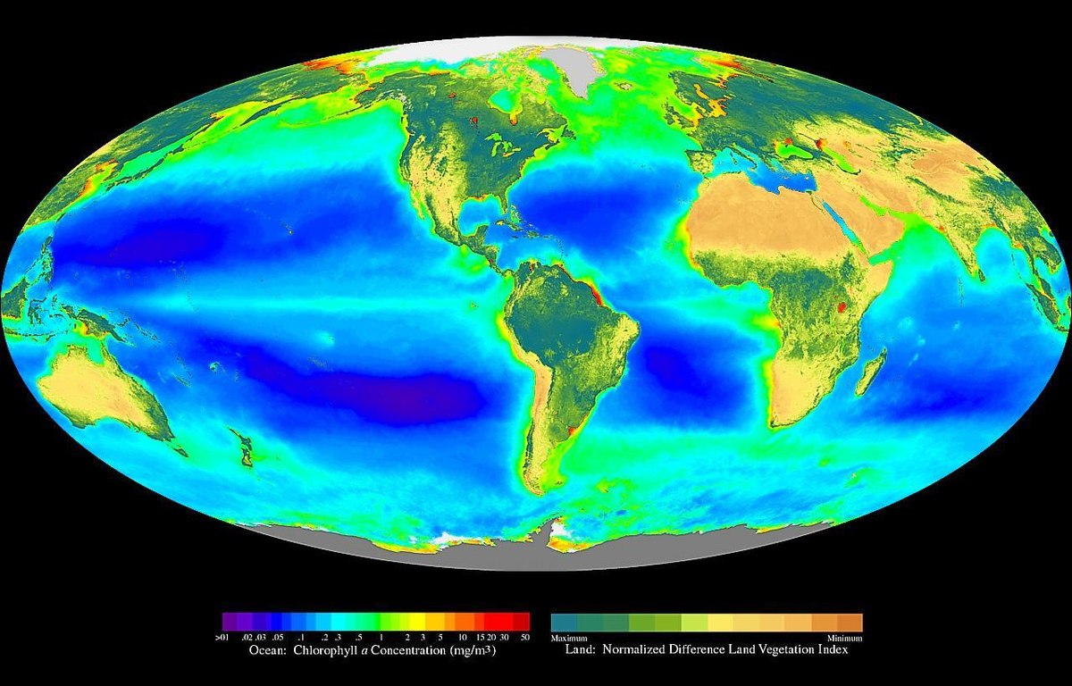 Copertina materia scienze della terra e biologia