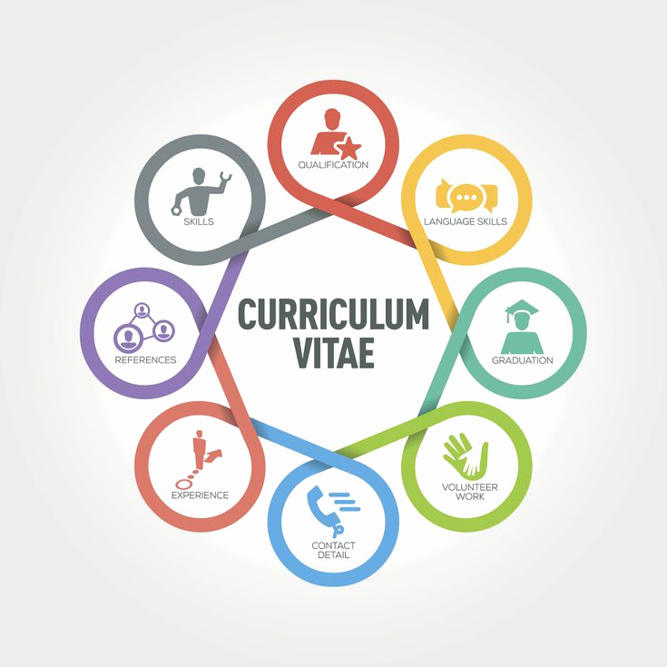 Curriculum Vitae - Classe 5BKS 2021-22