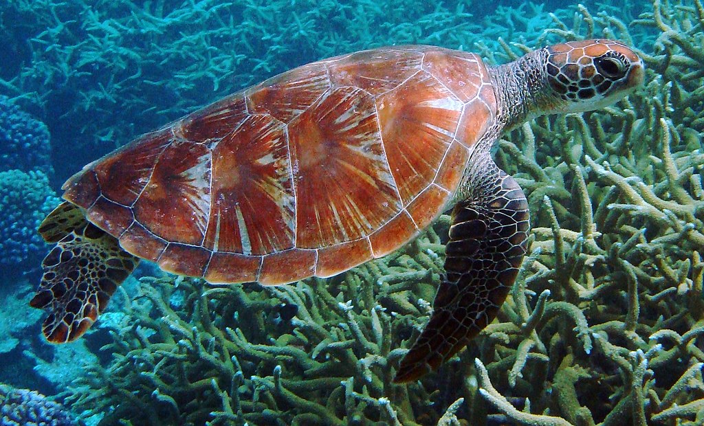 3ASS DIRITTO TECNICA 2526